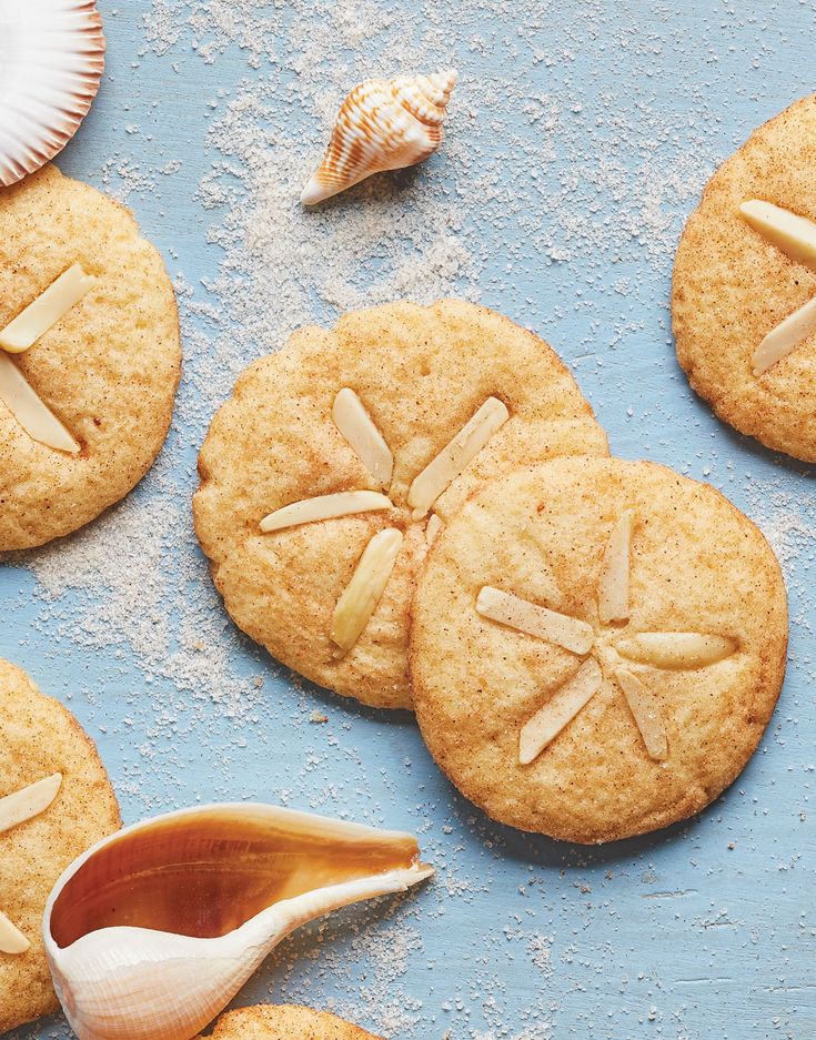 Sand Dollars